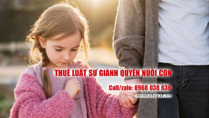 Thuê luật sư giành quyền nuôi con